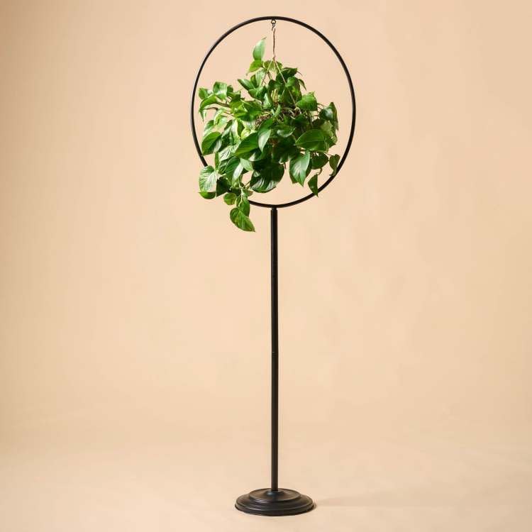 7) Hayden Plant Stand