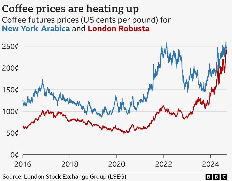 Graphique linéaire montrant les prix à terme du café Robusta de Londres et de l'Arabica de New York, de janvier 2016 à début septembre 2024. Le prix des deux a progressivement augmenté au cours de la période. Le 6 septembre, le Robusta de Londres s'élevait à 242 cents la livre, tandis que l'Arabica de New York était à 247 cents la livre.