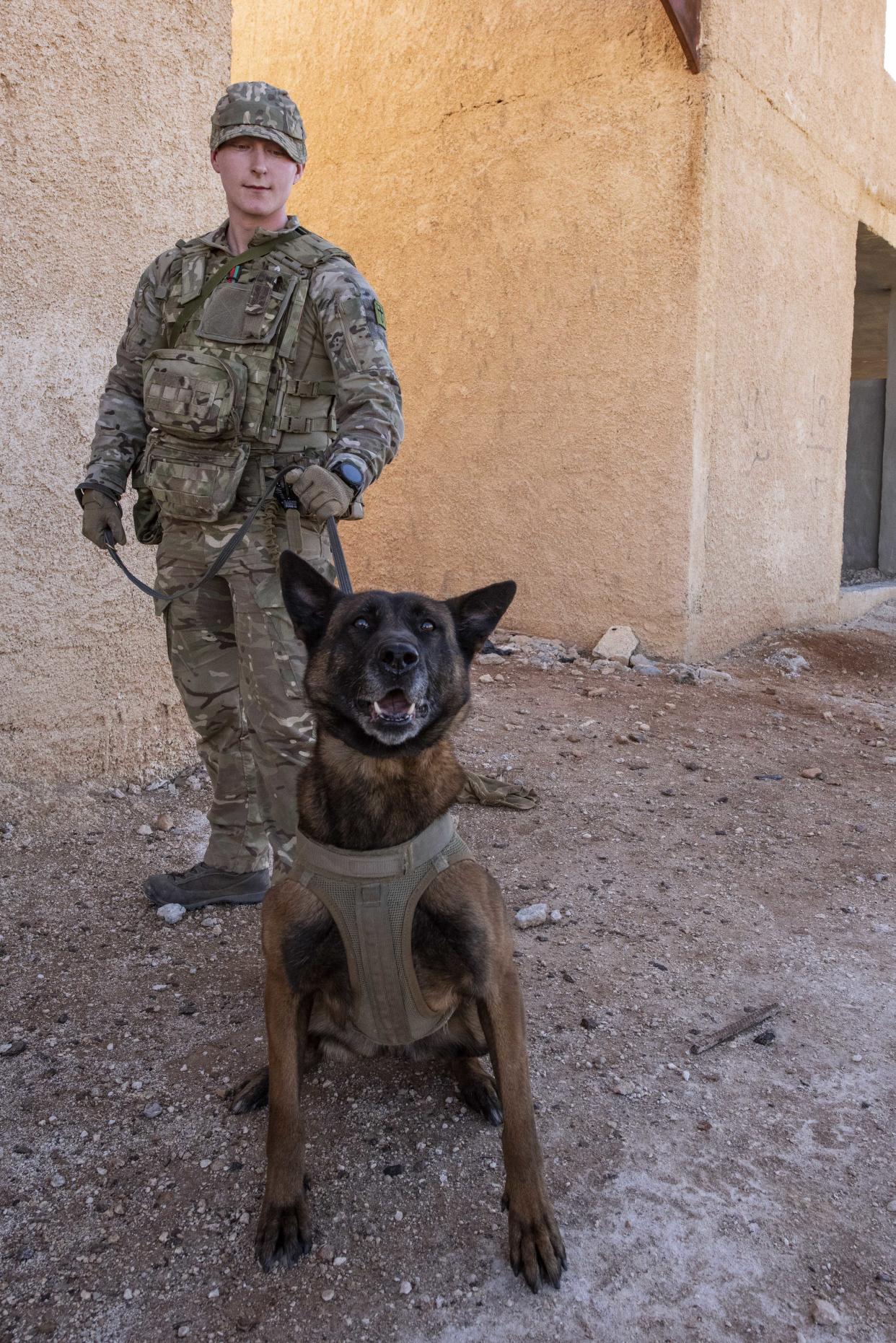 Military Working Dog Lucy with her handler Private Jamie Agnew (Crown Copyright/PA)