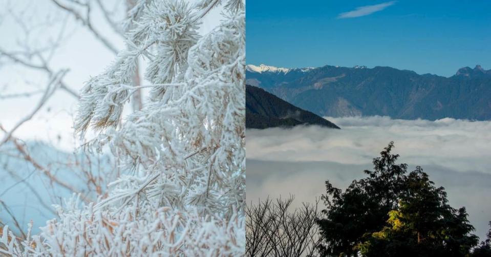 每到冬天，太平山國家森林遊樂區便會出現雲海，植物也會因低溫結霜，彷彿置身仙境。圖片來源：太平山國家森林遊樂區官網