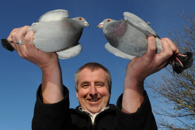 Pigeon fancier admits foul play