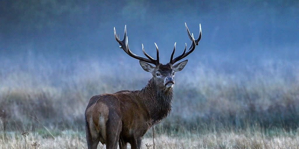 8 projects boosting biodiversity in the uk