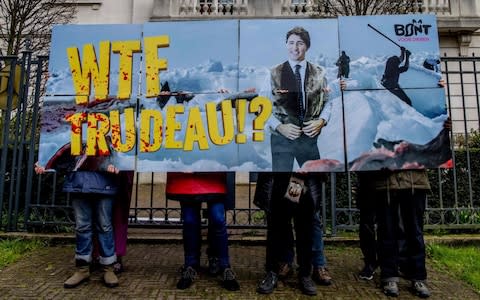 Activists protest seal hunting outside the Canadian embassy in The Netherlands this month - Credit: Robin Utrecht/AFP