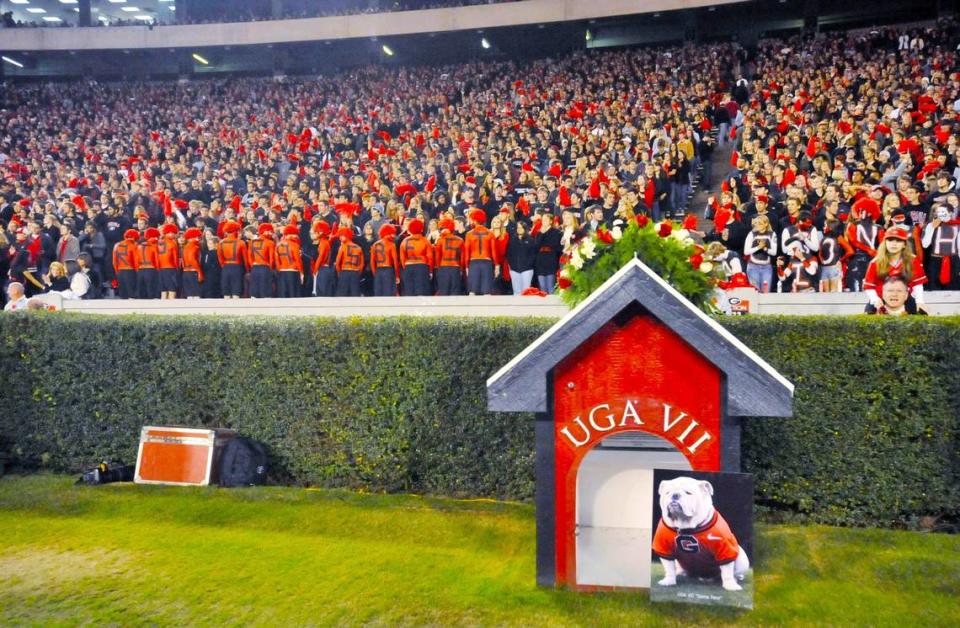 In November 2009, with a wreath atop the Georgia mascot’s dog house and a photo of the late crowd mascot standing guard, fans also made their own tributes to Uga VII in the wake of the dog’s death that week. / Telegraph archives