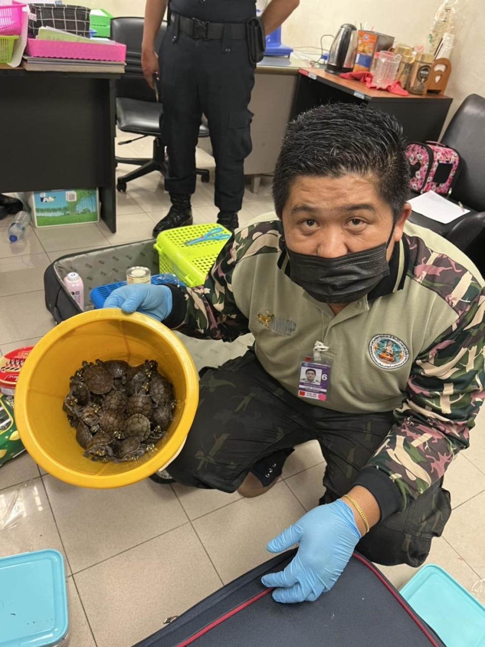 Investigators found 2 white porcupines, 2 armadillos, 35 turtles, 50 chameleons and 20 snakes, according to the press release. / Credit: Thailand DNP
