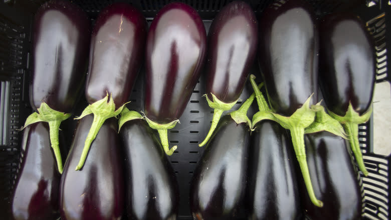 eggplants in a row