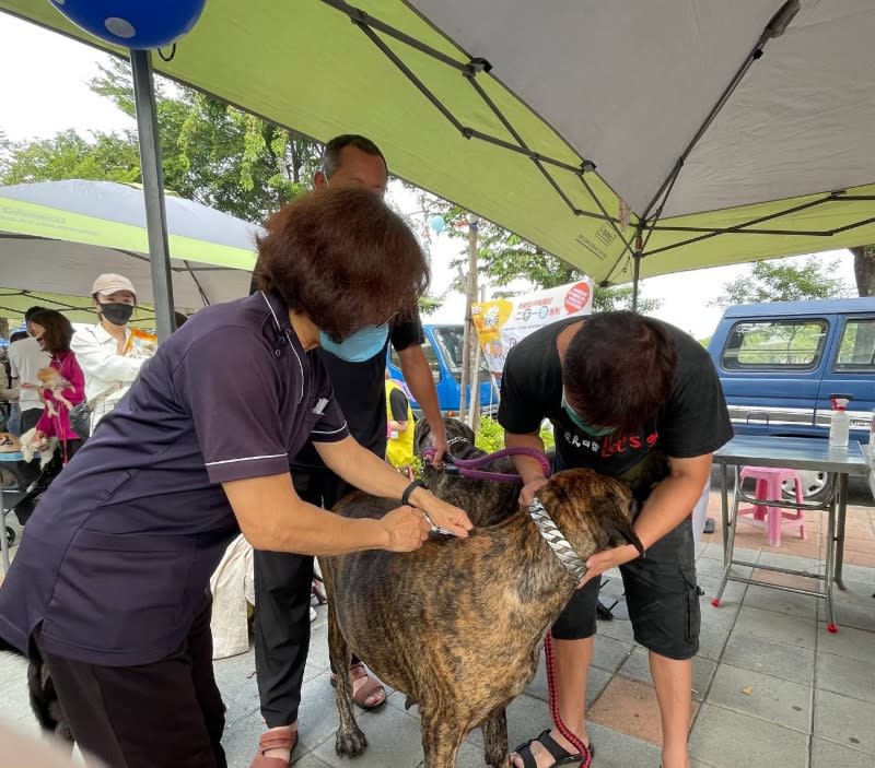 寵物登記＝申報備查！合法續養比特犬速辦登記