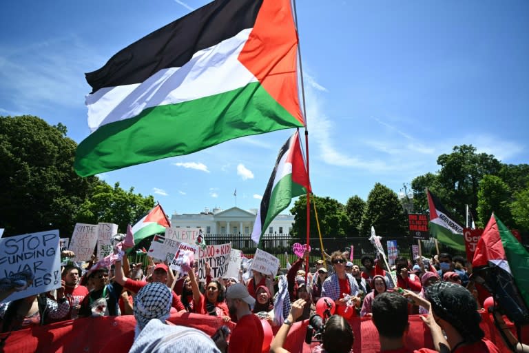 Unos manifestantes propalestininos, delante de la Casa Blanca, en Washington, el 8 de junio de 2024 (Mandel Ngan)