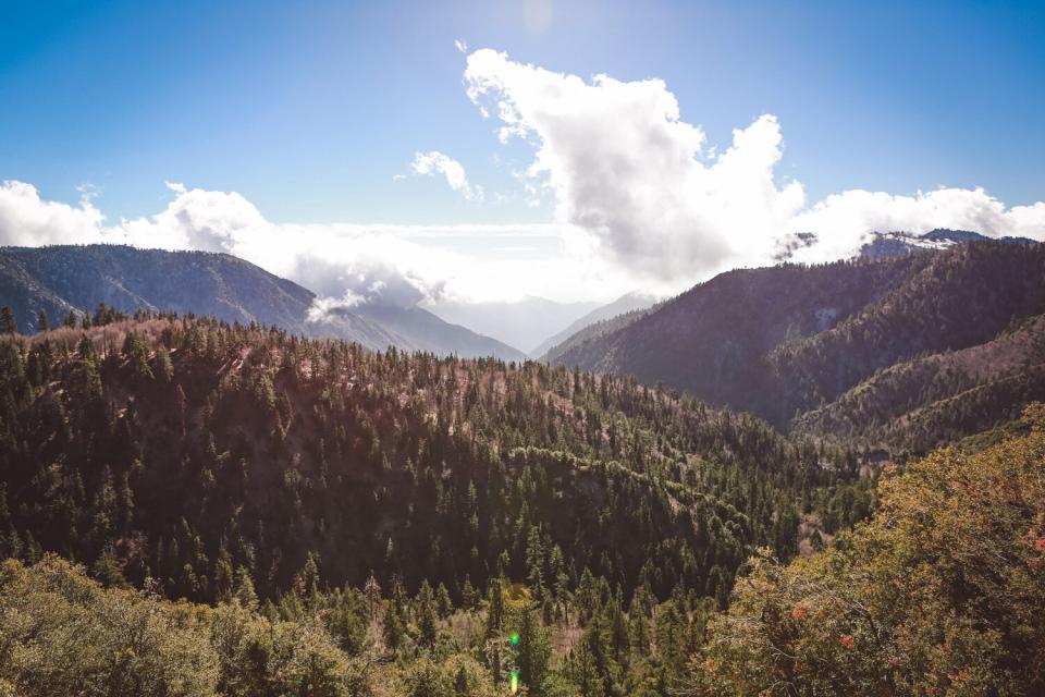 San Bernardino Mountains in San Bernardino National Forest