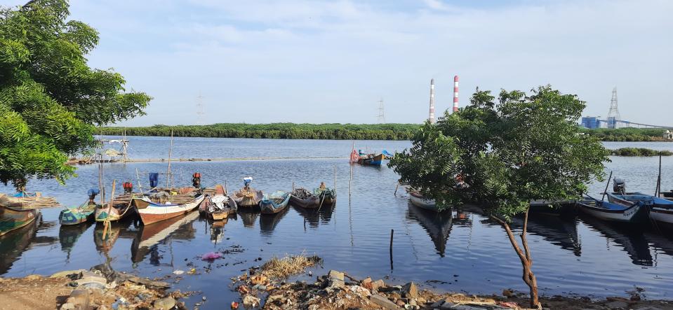 <div class="paragraphs"><p>Konamudukku in the Kosasthlaiyar river, close to Kattukuppam village, has the richest marine biodiversity in the area.</p></div>