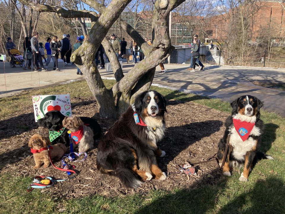 A group of therapy dogs from Monroe took part in Spartan Sunday, an event Feb. 19 at Michigan State University to give students a chance to talk with therapists, visit therapy dogs and adjust to life back on campus following the mass shooting that took place Feb. 13 at the East Lansing campus.