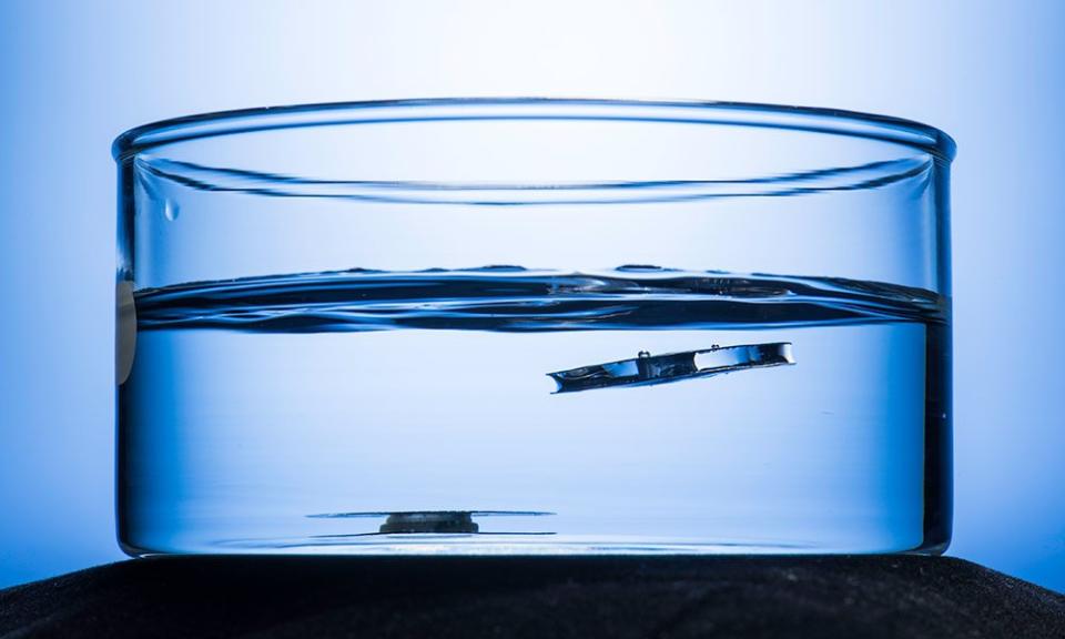 Metales superhidrofóbicos, creados mediante nanotecnología de grabado láser en la Universidad de Rochester, pueden mantenerse a flote de modo constante. (Universidad de Rochester Twitter/@UofR)