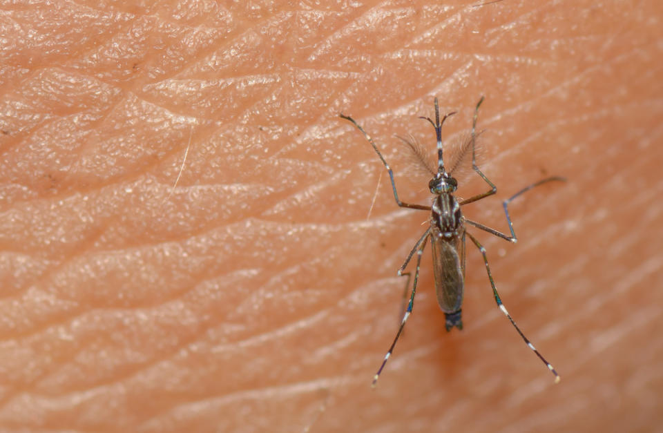 7 reasons why Zika is actually scarier than we thought