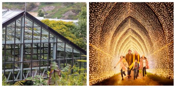 Jardín Botánico en San Diego tendrá asombroso show de luces internacional "Lightscape"