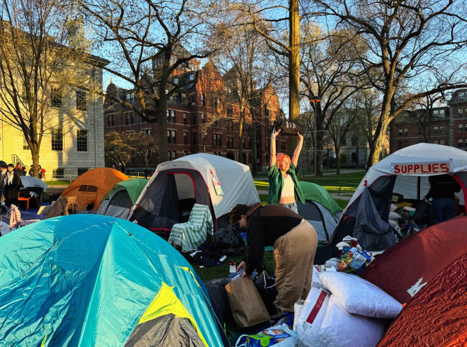 Harvard Gaza protest