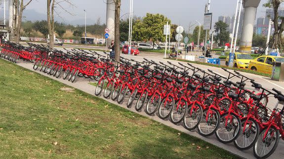 A rare group photo of the bicycles.