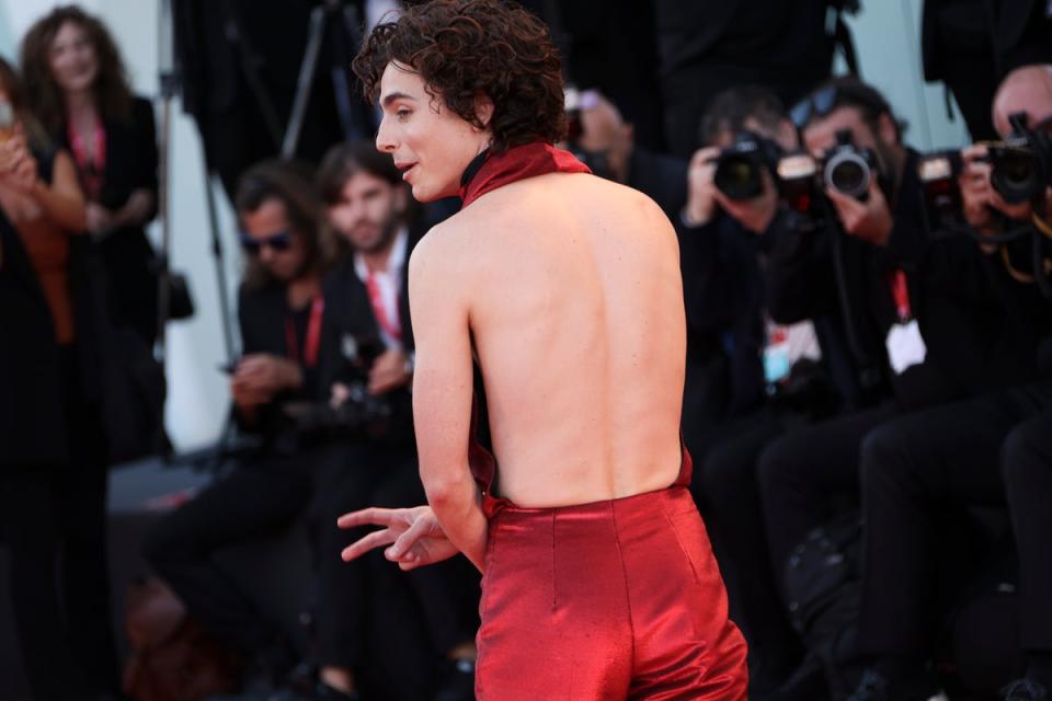 Timothee Chalamet poses for photographers upon arrival at the premiere of Bones and All (Joel C Ryan/Invision/AP) (AP)