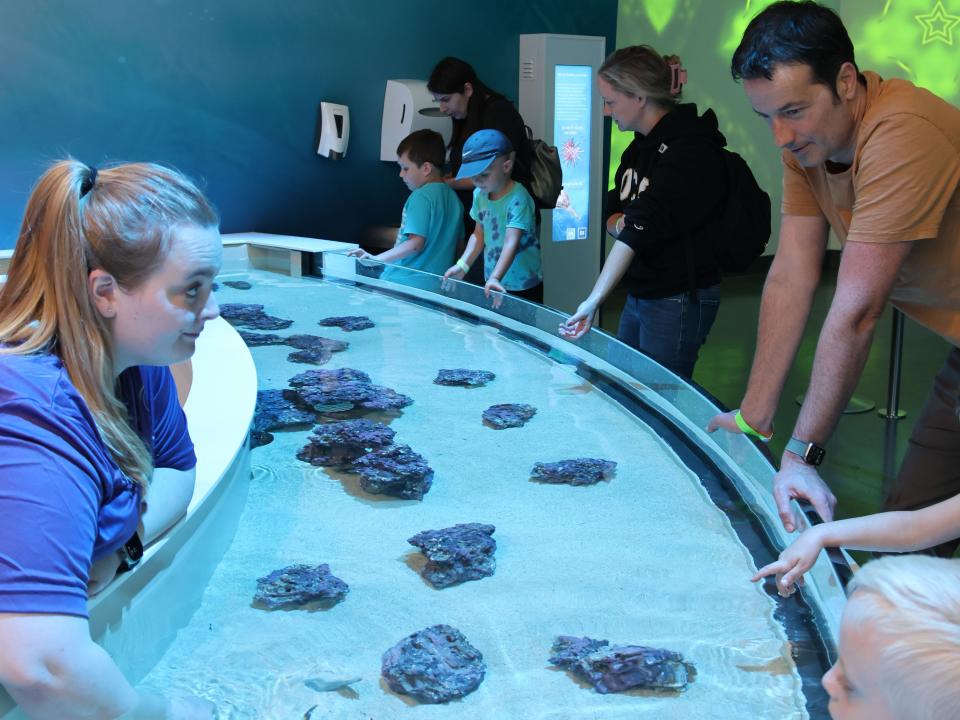 Guests can visit the Life exhibit on Thursday, Apr. 10 for hands-on learning experiences.