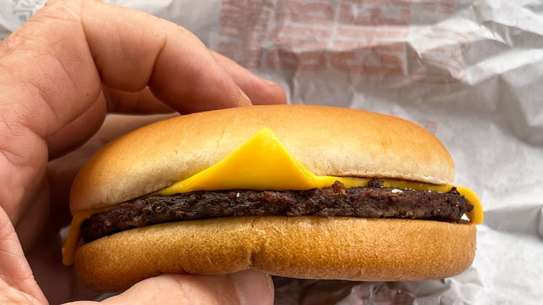 A McDonald's plain cheeseburger