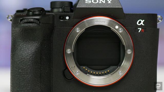 Sony a7 III vs a7R III  Alpha Camera Comparison