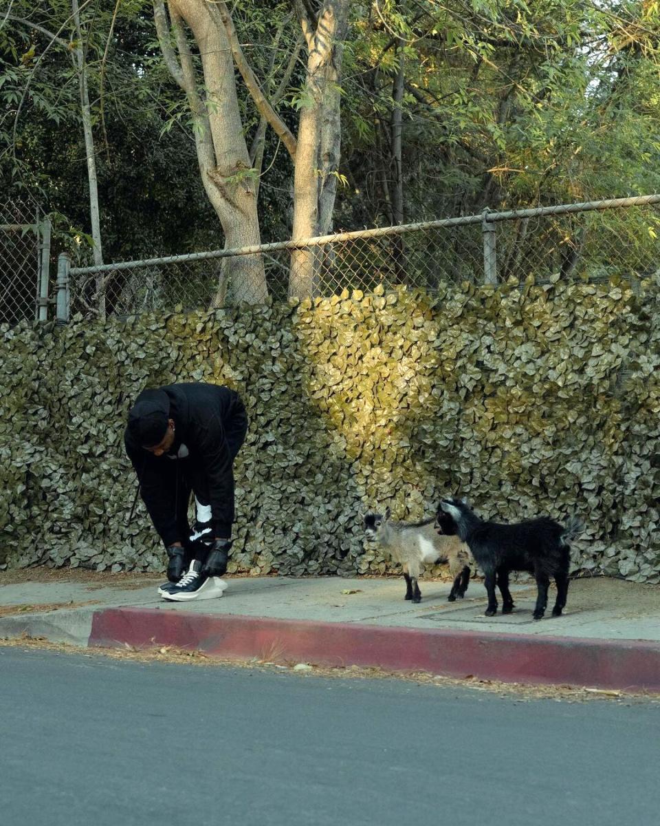 Usher and his goats