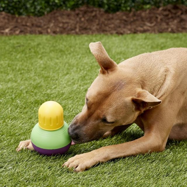 Starmark Treat Dispensing Bob-a-Lot Dog Toy is on sale at Chewy