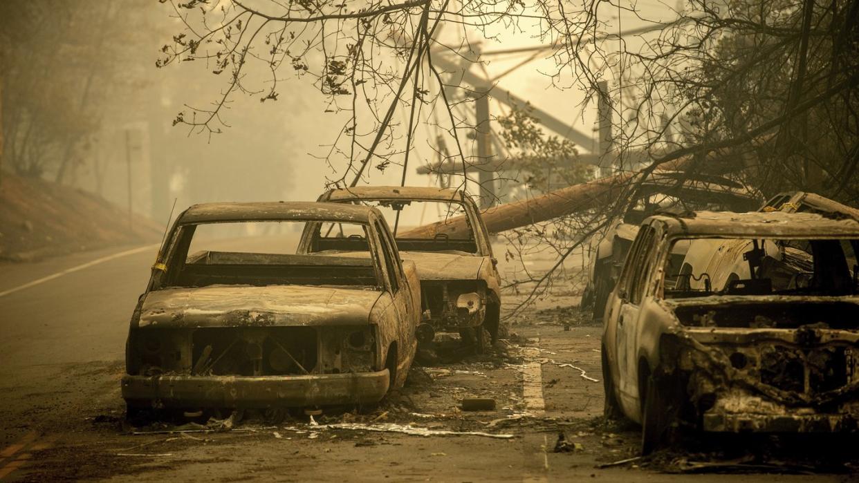 Die schweren Waldbrände in Kalifornien haben verheerende Schäden angerichtet. Foto: Noah Berger/AP