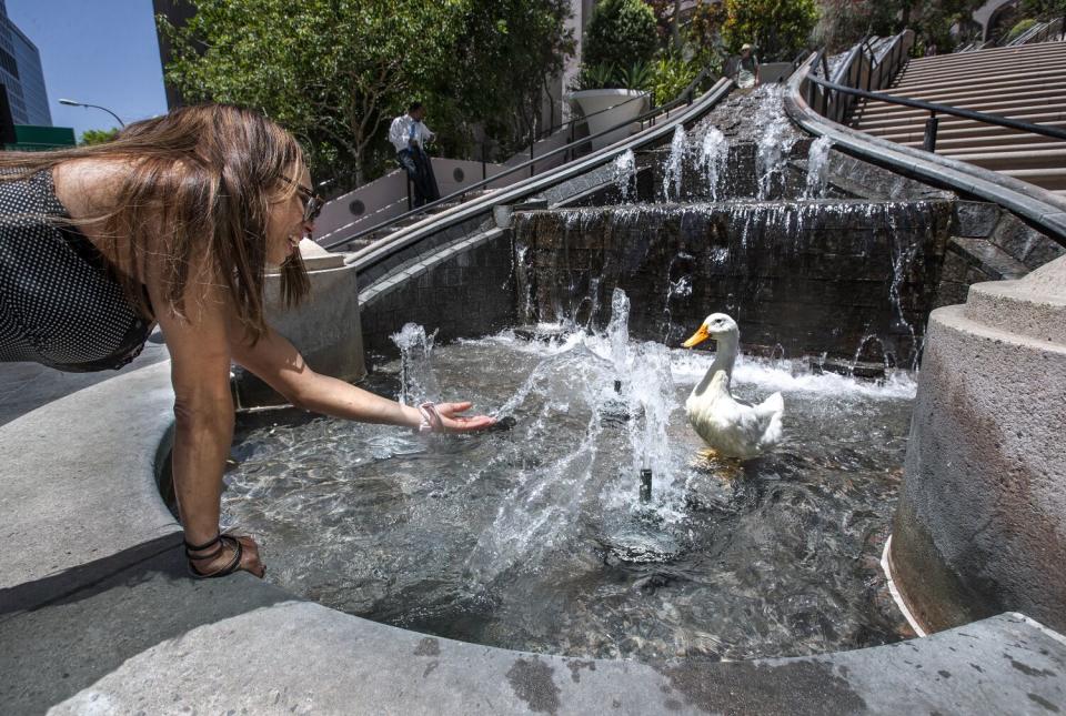 McWilliams splashes water as Cardi D cools off in a fountain on 5th Street in downtown Los Angeles.