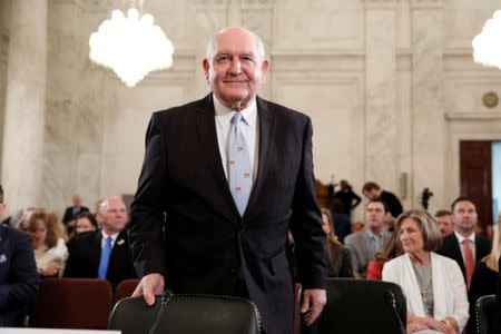 FILE PHOTO - Secretary of Agriculture nominee Sonny Perdue arrives at his confirmation hearing before the Senate Agriculture Committee on Capitol Hill in Washington, DC, U.S. on March 23, 2017. REUTERS/Aaron P. Bernstein/File Photo