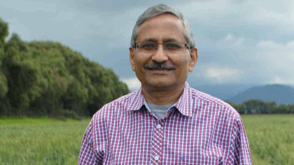 Ravi Singh, una eminencia en el campo de la genética del trigo en México y en el mundo. Foto: CIMMYT