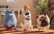 Was machen Haustiere eigentlich, wenn ihre Herrchen nicht zu Hause sind? Das sollte der Film "Pets" im Jahr 2016 beantworten. Heraus kam ein wildes Animations-Abenteuer rund um Max (Mitte), Mel (rechts) und ihre Katzen-Freundin Chloe. (Bild: Universal)