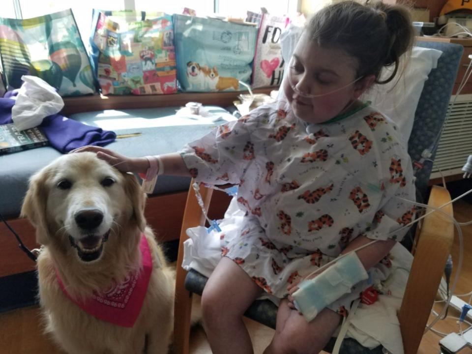 Marisa Tufaro pets a therapy dog following her 2016 heart transplant at New York-Presbyterian Morgan Stanley Children's Hospital in New York City