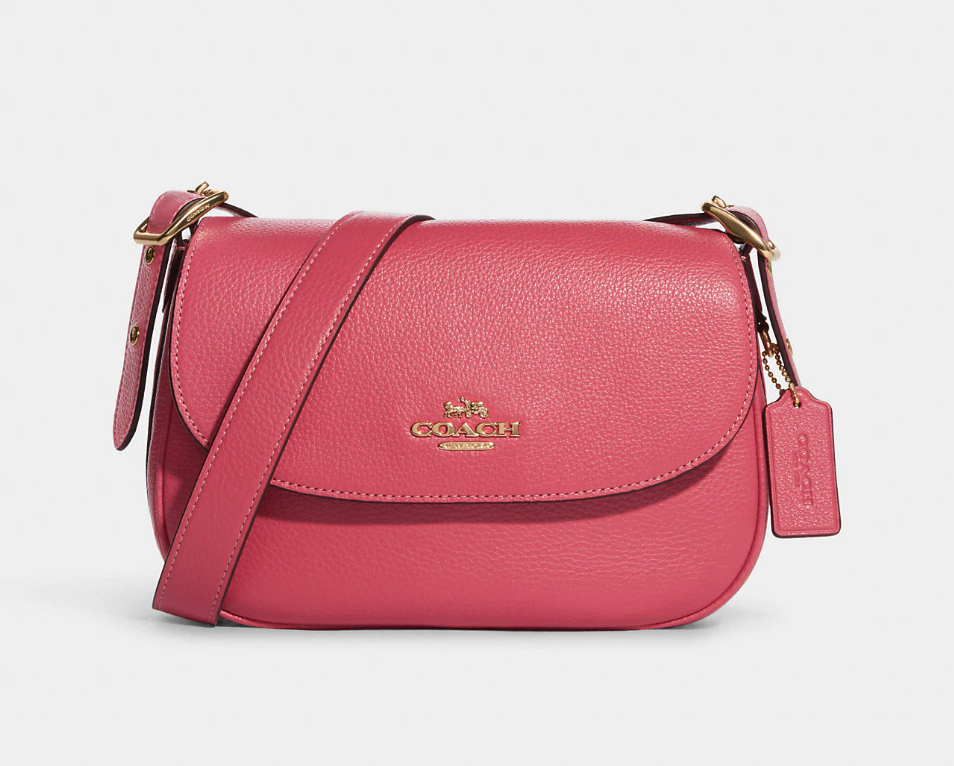 Macie Saddle Bag. (Image via Coach Outlet)