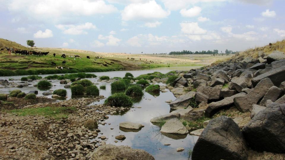 Here we see a river with rocky slopes and a grassy slope in the background.