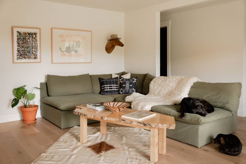 Dog lounging on sage sectional in natural light filled living room.