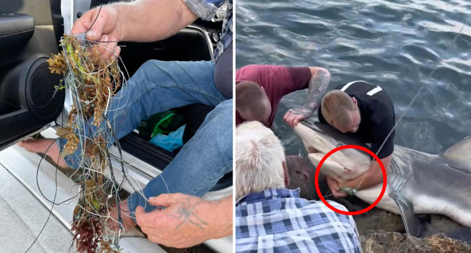 The fishermen working to remove the six hooks from the shark.