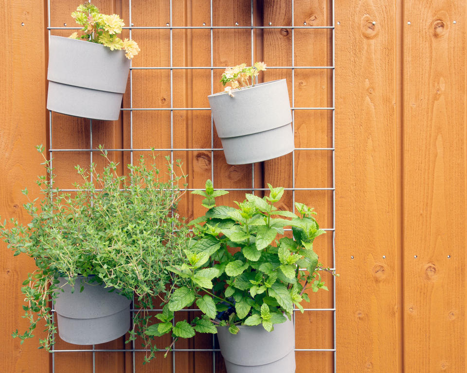 9. MAKE AN EASY TRELLIS DISPLAY