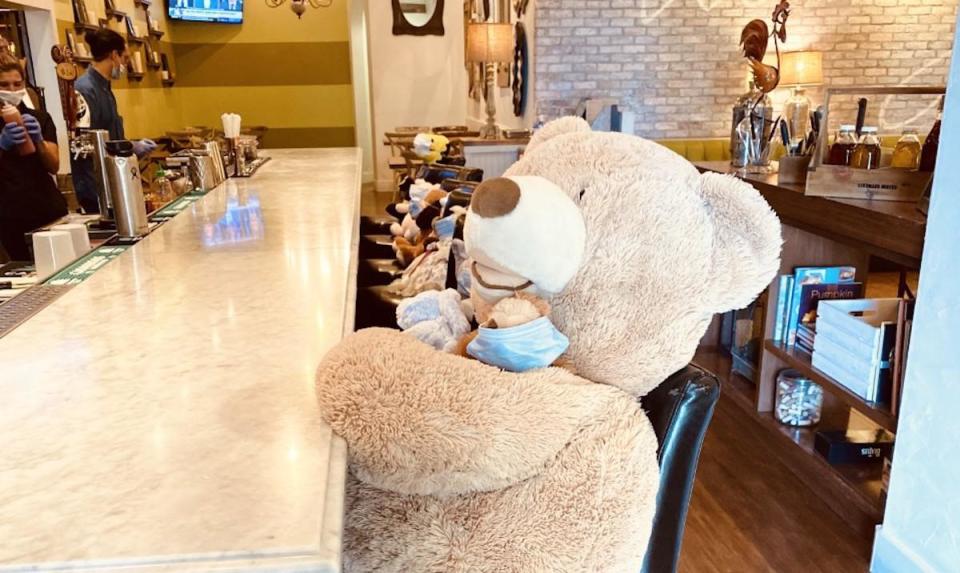 Teddy bear guests
