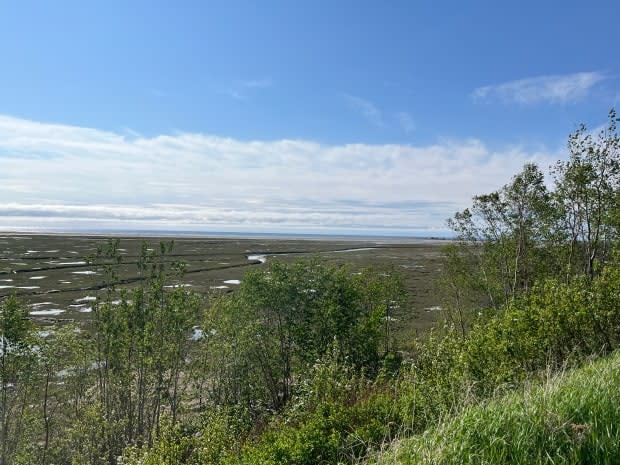 Conflict re-ignited on Quebec's North Shore after local fisherman