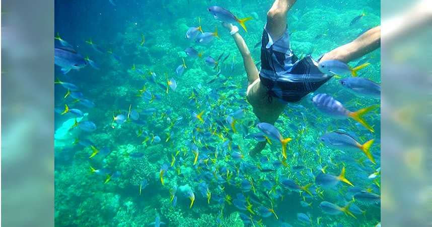 帛琉的夢幻的海底景色以往吸引不少的潛水者前往。（圖／雄獅旅遊提供，以下皆同）