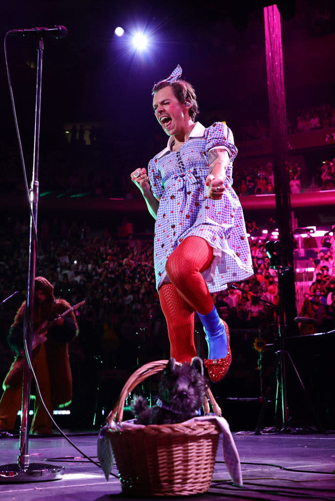 Harry onstage in costume with a small dog in a basket on the stage