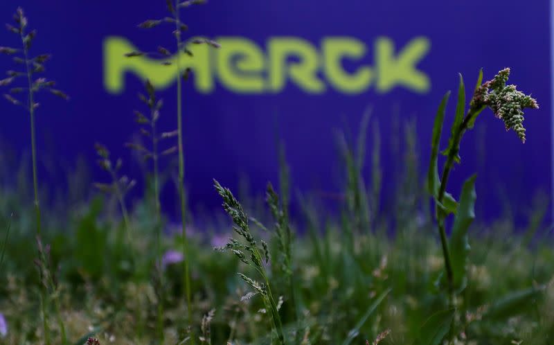 FILE PHOTO: The logo of German pharmaceuticals company Merck is seen at the company's headquarters in Darmstadt