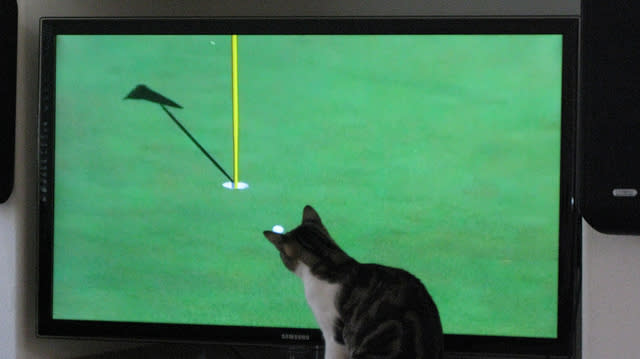 5. Golf Loving Kitty