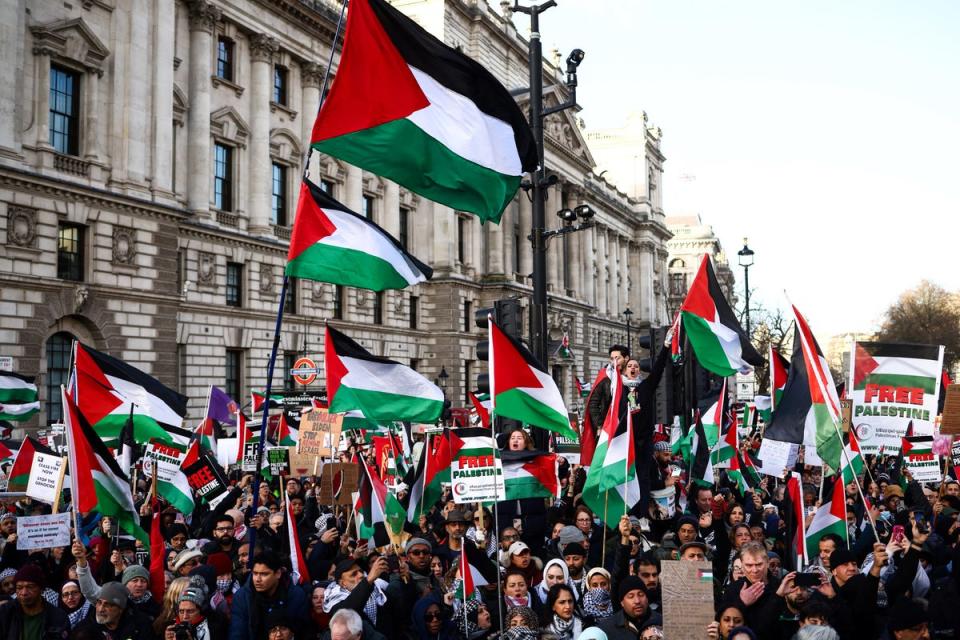 Pro-Palestinian activists and supporters wave flags and carry placards during the National March for Palestine (HENRY NICHOLLS/AFP via Getty Images)
