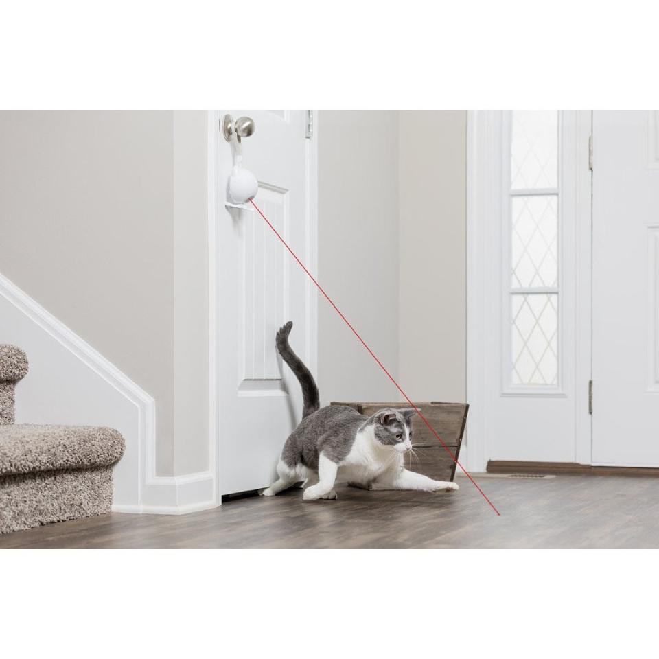 Keep your cat entertained with this safe The Dancing Dot Laser Cat Toy ($19.95). You can set it to work for 15 minutes or even turn on every two hours.