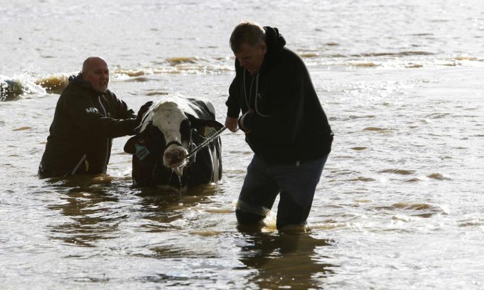 <span>Photograph: Jesse Winter/Reuters</span>