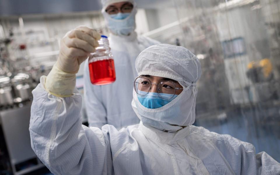 An engineer looks at monkey kidney cells as he makes a test on an experimental vaccine for the COVID-19 - NICOLAS ASFOURI/AFP