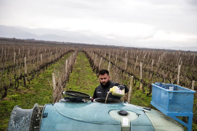 A farmer fills a sprayer with pesticides in his vineyard near the town of Tyrnavos, central Greece, February 2022
