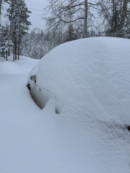 Conifer car snowed in (credit:Brittany D’orio)