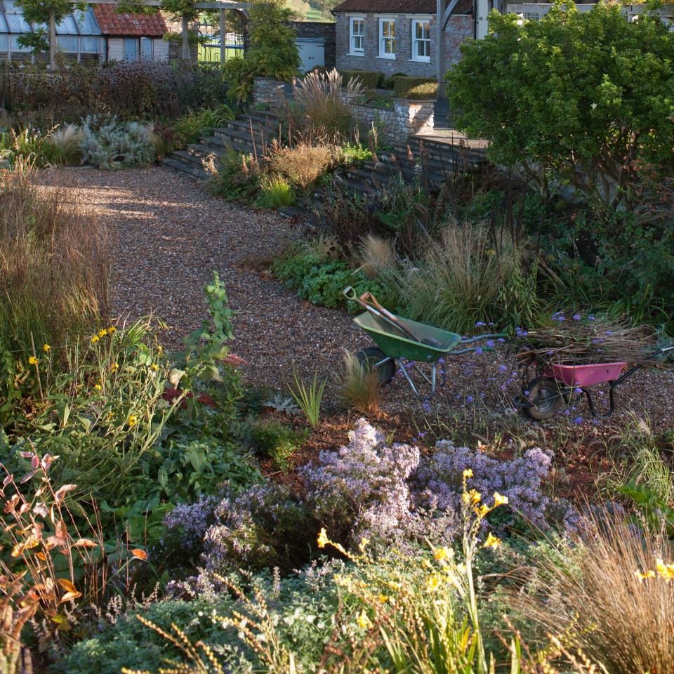 A blooming garden with a house in the background and a wheelbarrow in the middle